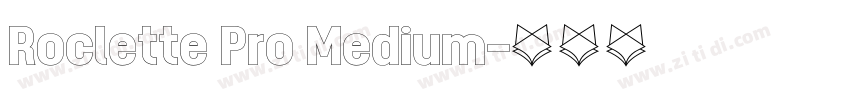 Roclette Pro Medium字体转换
